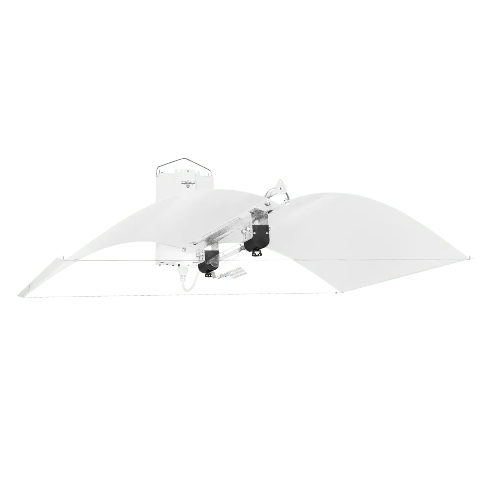 1000W De-Hps Hellion Lighting System 1