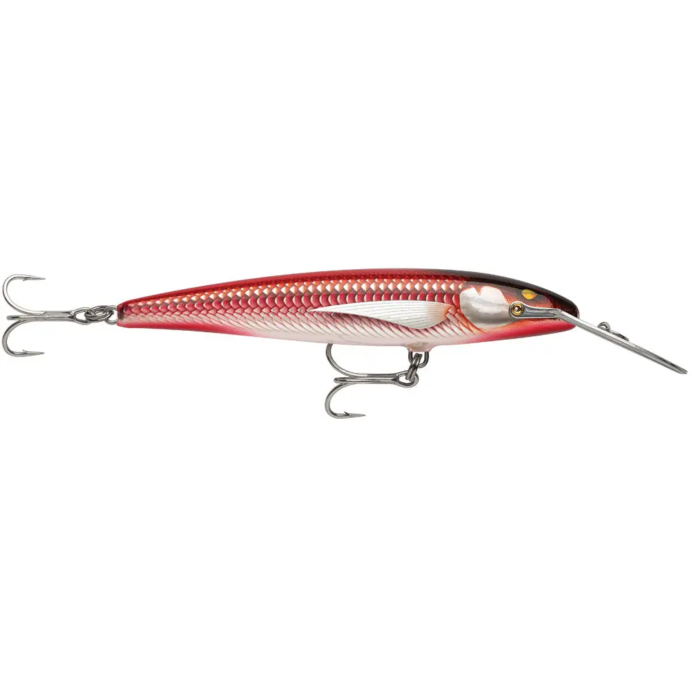 Rapala Countdown Magnum Elite 145 - 5-3/4" - Armored Real Red Bait [Cdmage145amrrb] 1