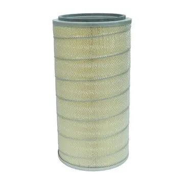 C004-26-04-001 - Pleatco - Oem Replacement Filter 1