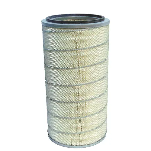 C004-26-03-001 - Pleatco - Oem Replacement Filter 1