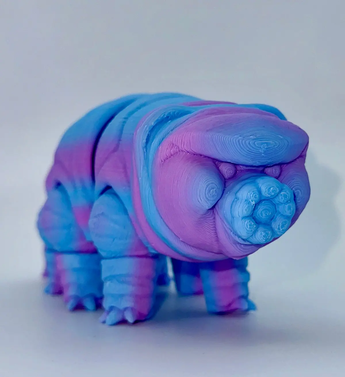 Mmm Tardigrade (Water Bear, Moss Piglet) 1