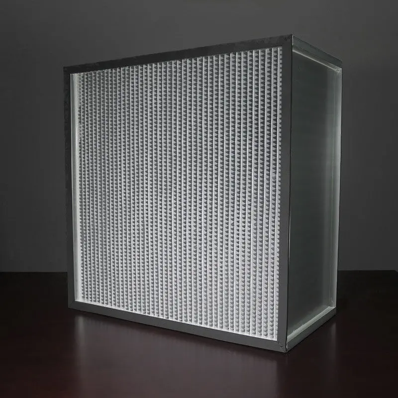 Hepa Filter 23 3/8 X 23 3/8 X 12 (11.5) Hc 99.97% D Series 1