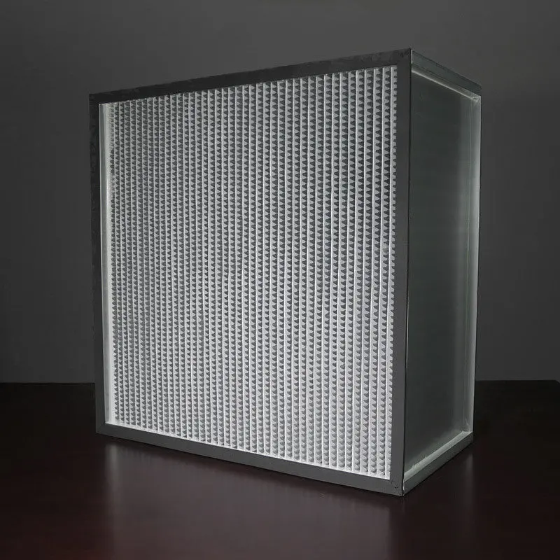 Hepa Filter 24 X 24 X 12 (11.5) 1050Cfm Downstream 1