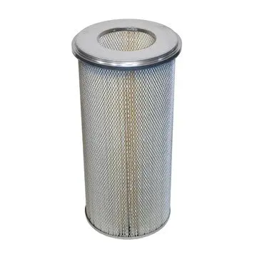 C67-10-407-01 - Dustex - Oem Replacement Filter 1