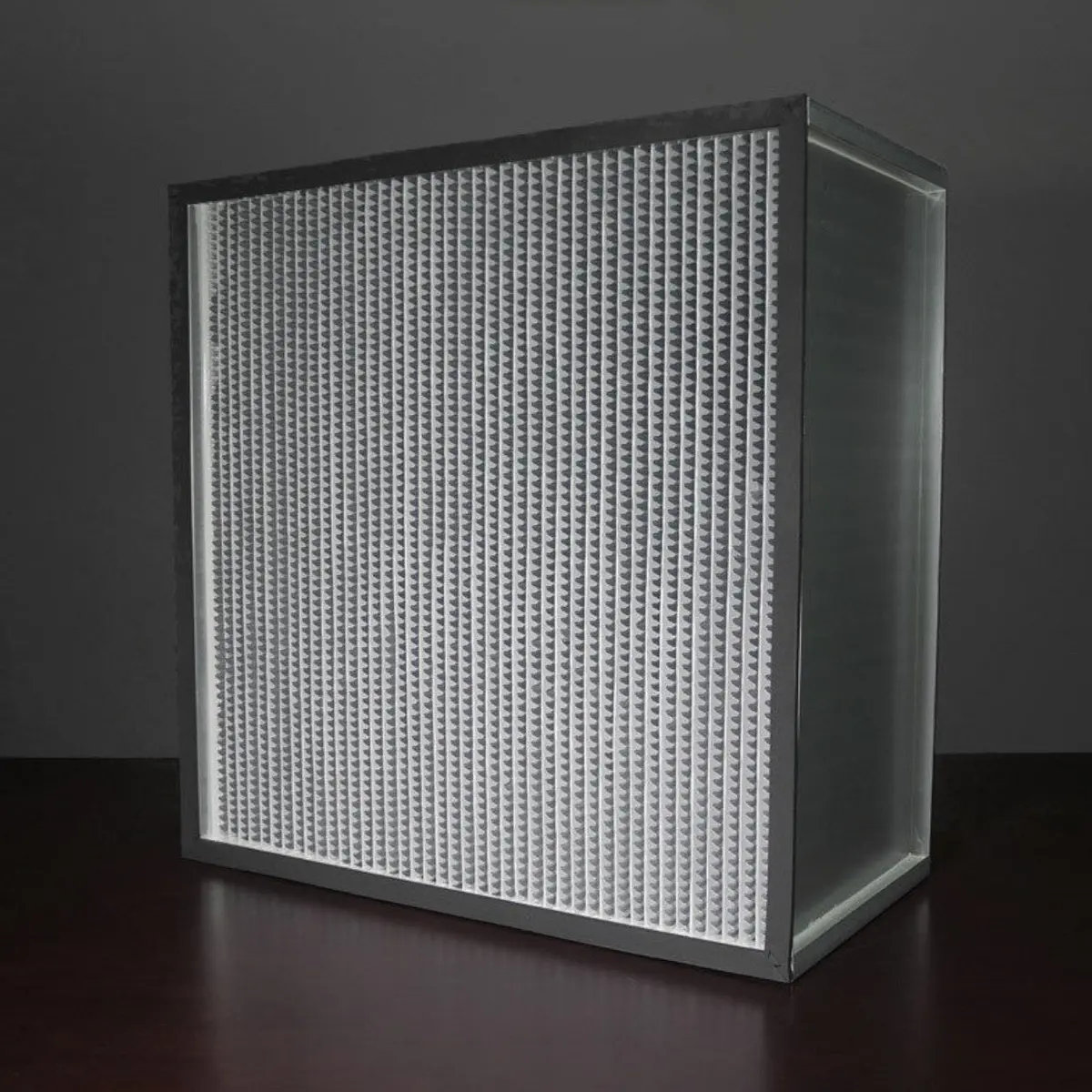 Hepa Filter 24X24x12 (11.5) Hc 99.97% D Series 1