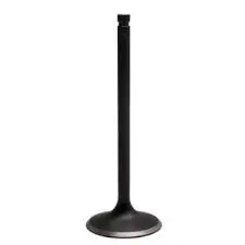 Sfiv-9100 Intake Valve 1
