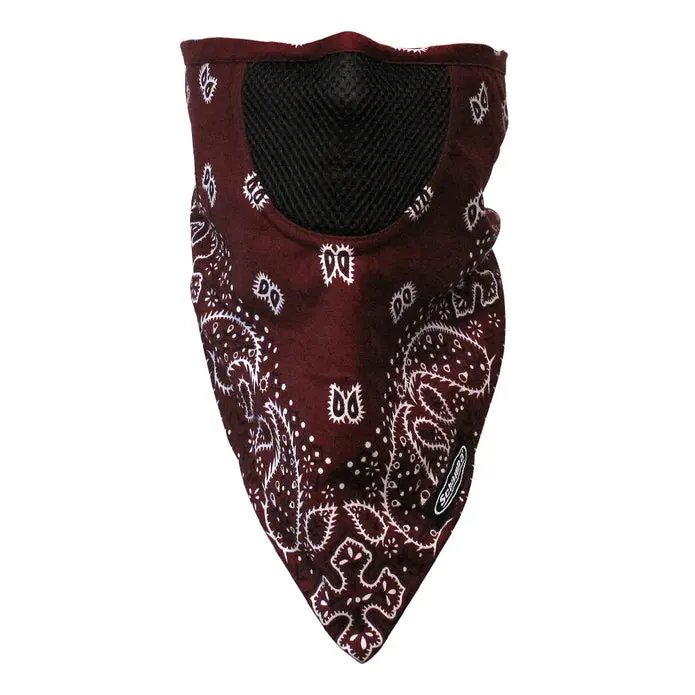 Facefit Facemask Paisley 1