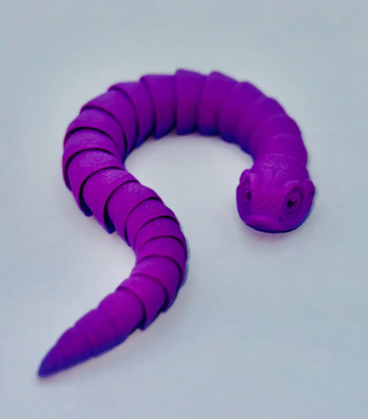 Mmm Hog Nose Snake Adult 1