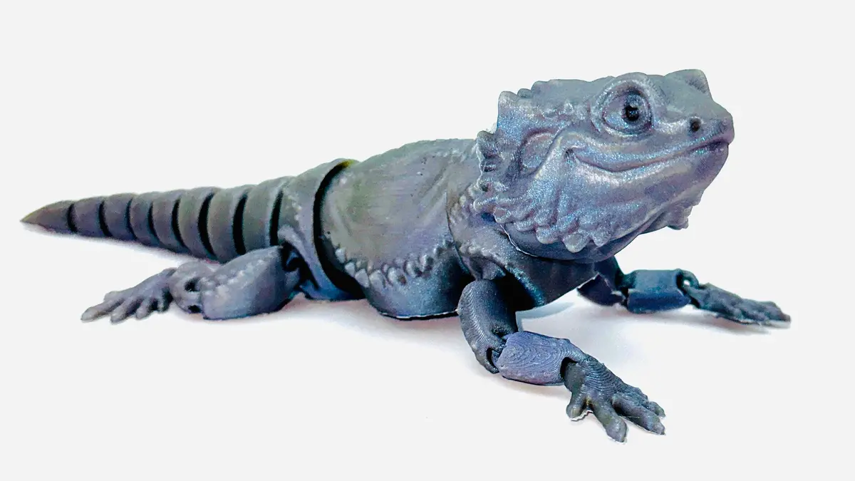 Mmm Bearded Dragon 1