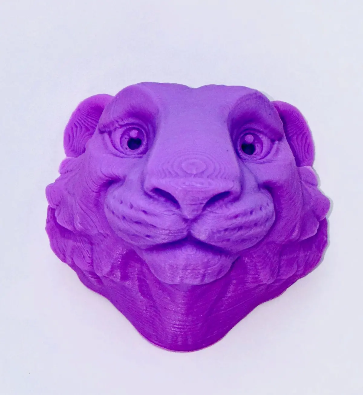 Mmm Tiger Head Magnet 1