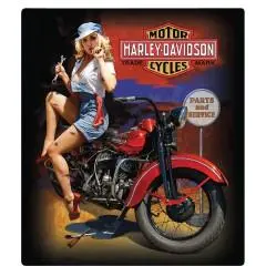 H-D Fixer Up Babe Sign 1