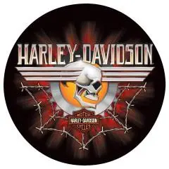 H-D Gearhead Skull Sign 1