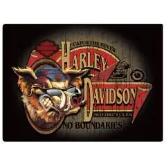 H-D No Boundaries Hog Sign 1