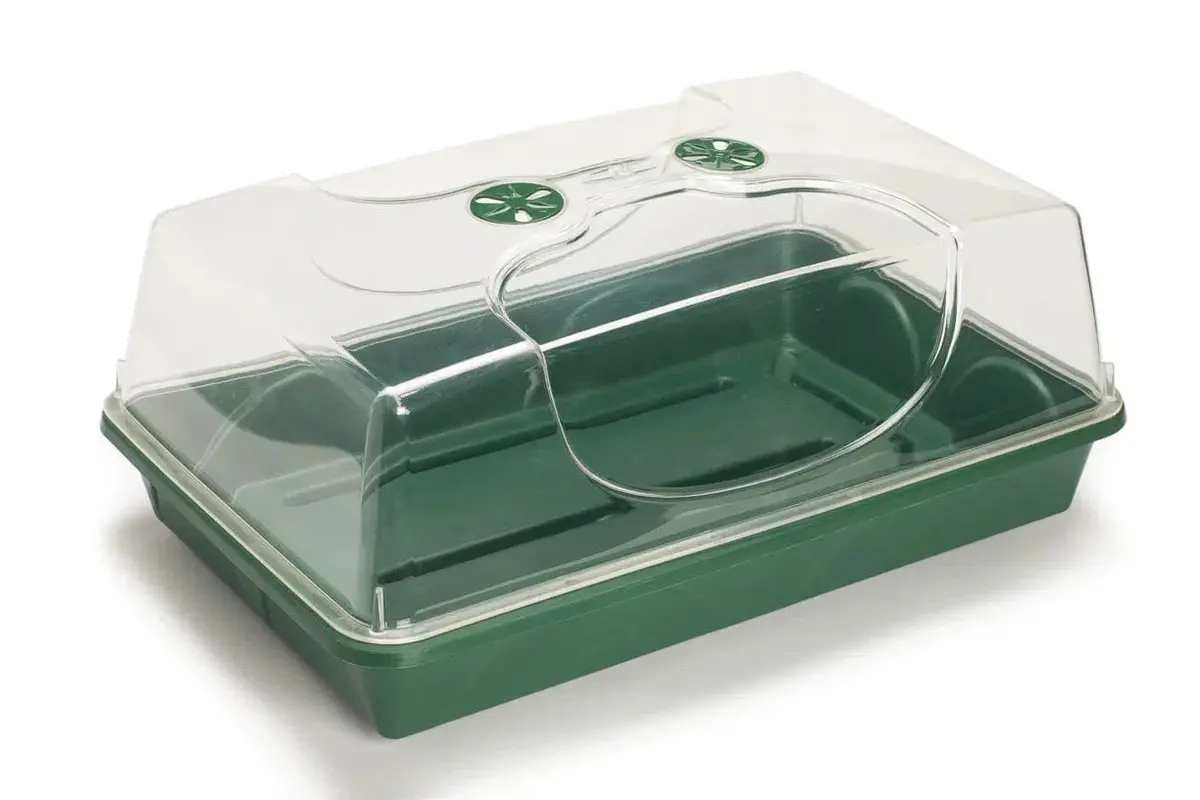 Large Domed Propagator 1