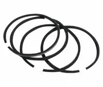 Sfrsj-300 Piston Ring Kit Std. 1