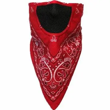 Facefit Facemask Paisley 1