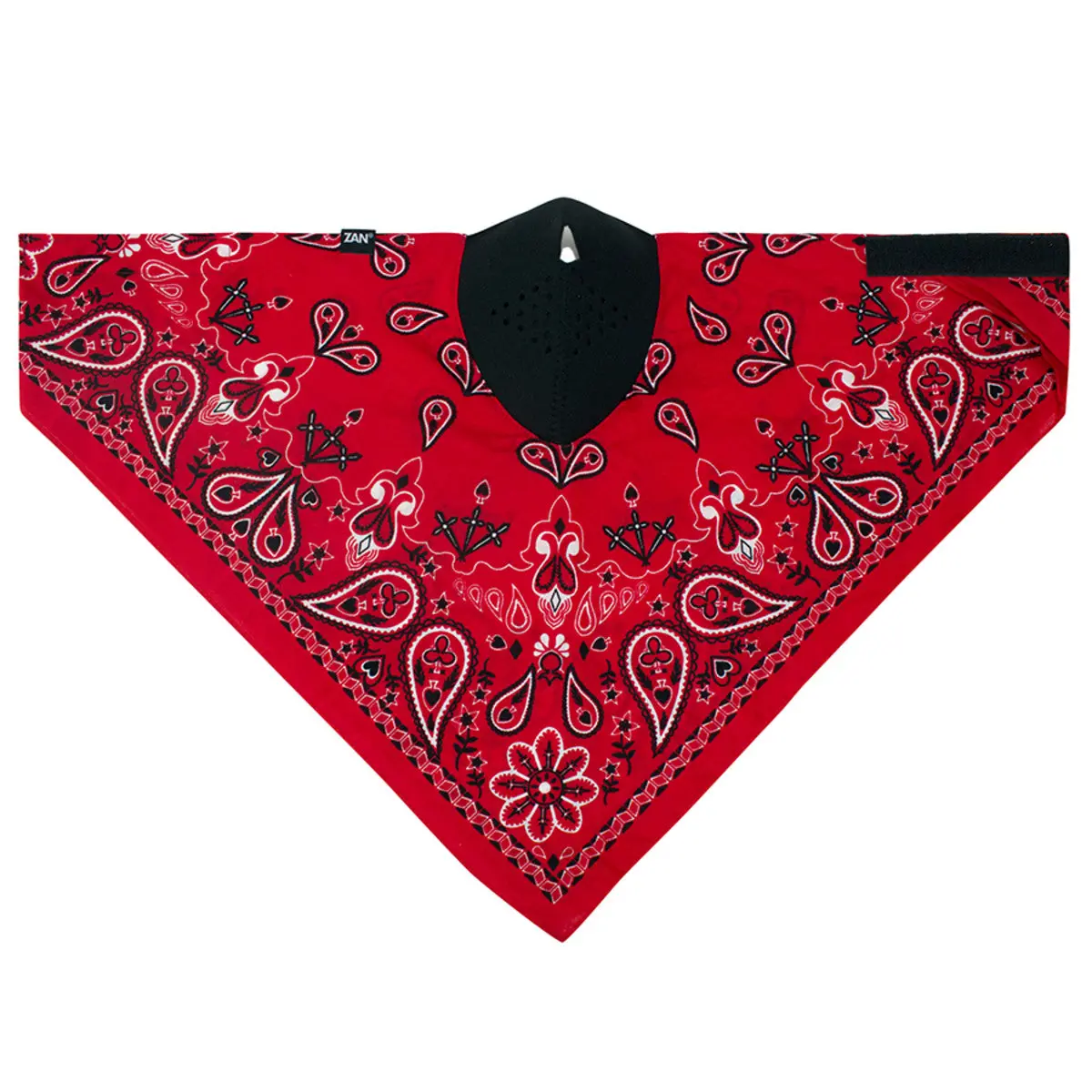 Neodanna Red Paisley 1