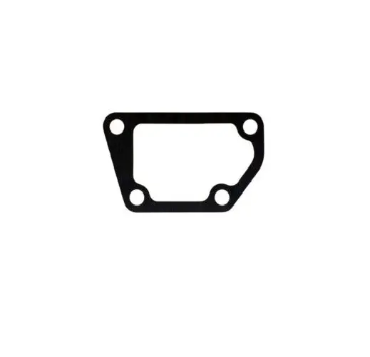Sfwpg-4441 Back Plate Gasket 1