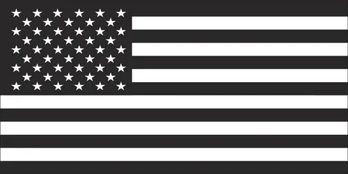 Black & White Usa Flag 1