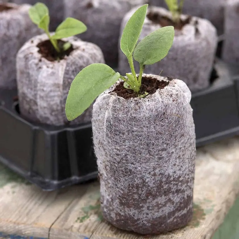 Jiffy Peat Pellets 1