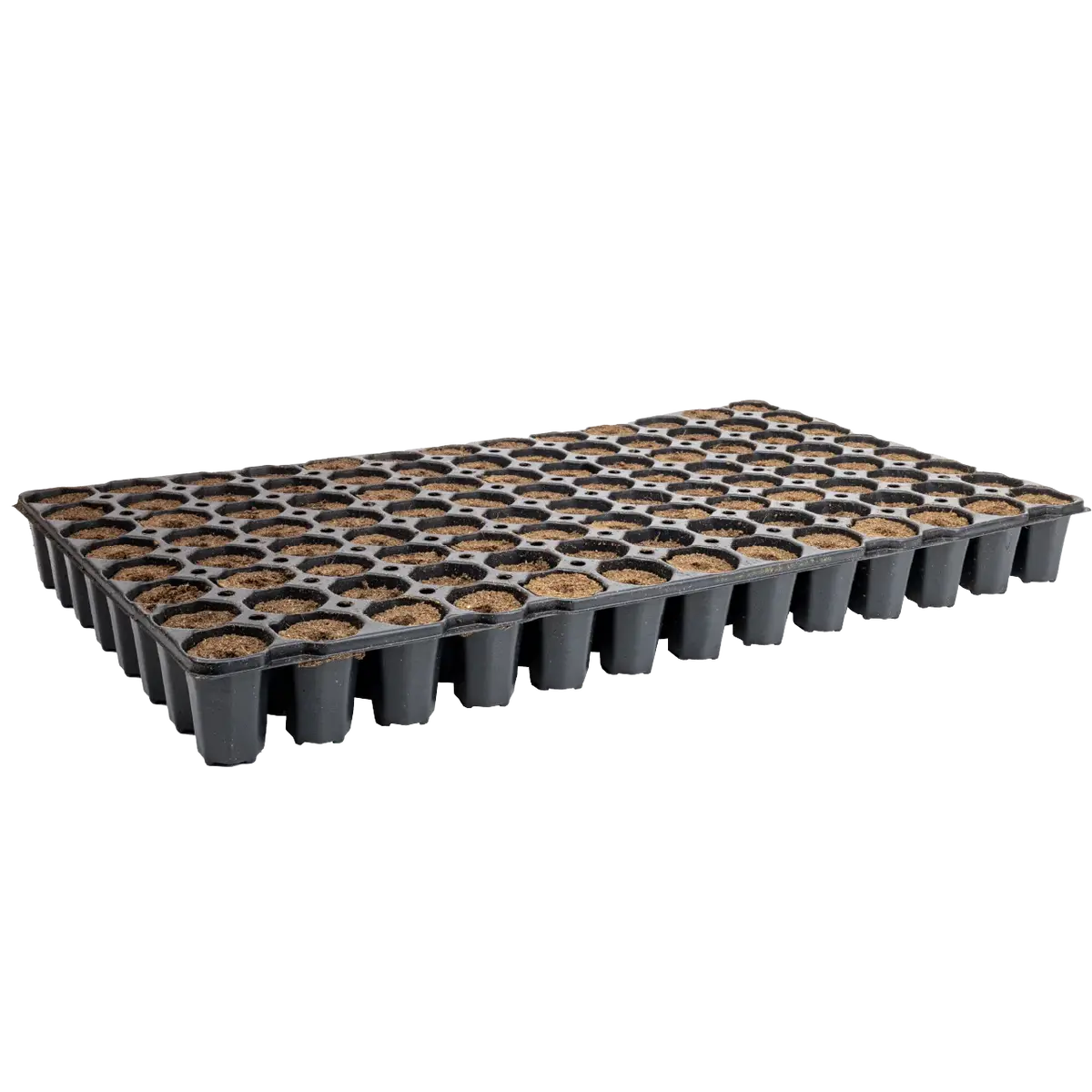Eazy Plug 104 100% Coco | Tray Of 104 - Seed & Cutting Propagation Plugs 1