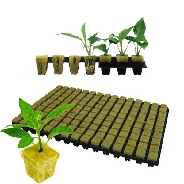 Grodan Tray Of Rockwool Propagation Cubes 1