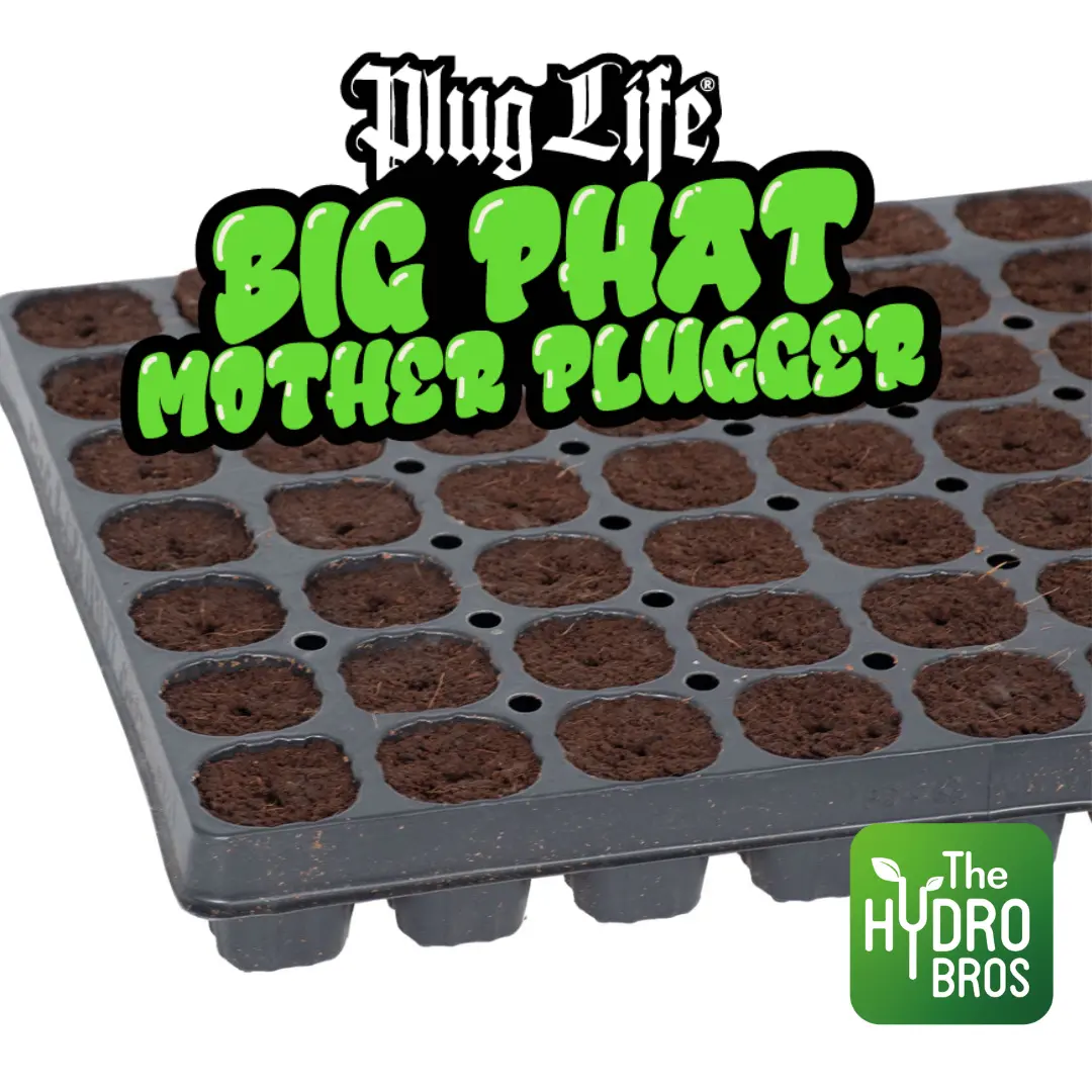Plug Life Big Phat Mother Plugger 77 Tray 1