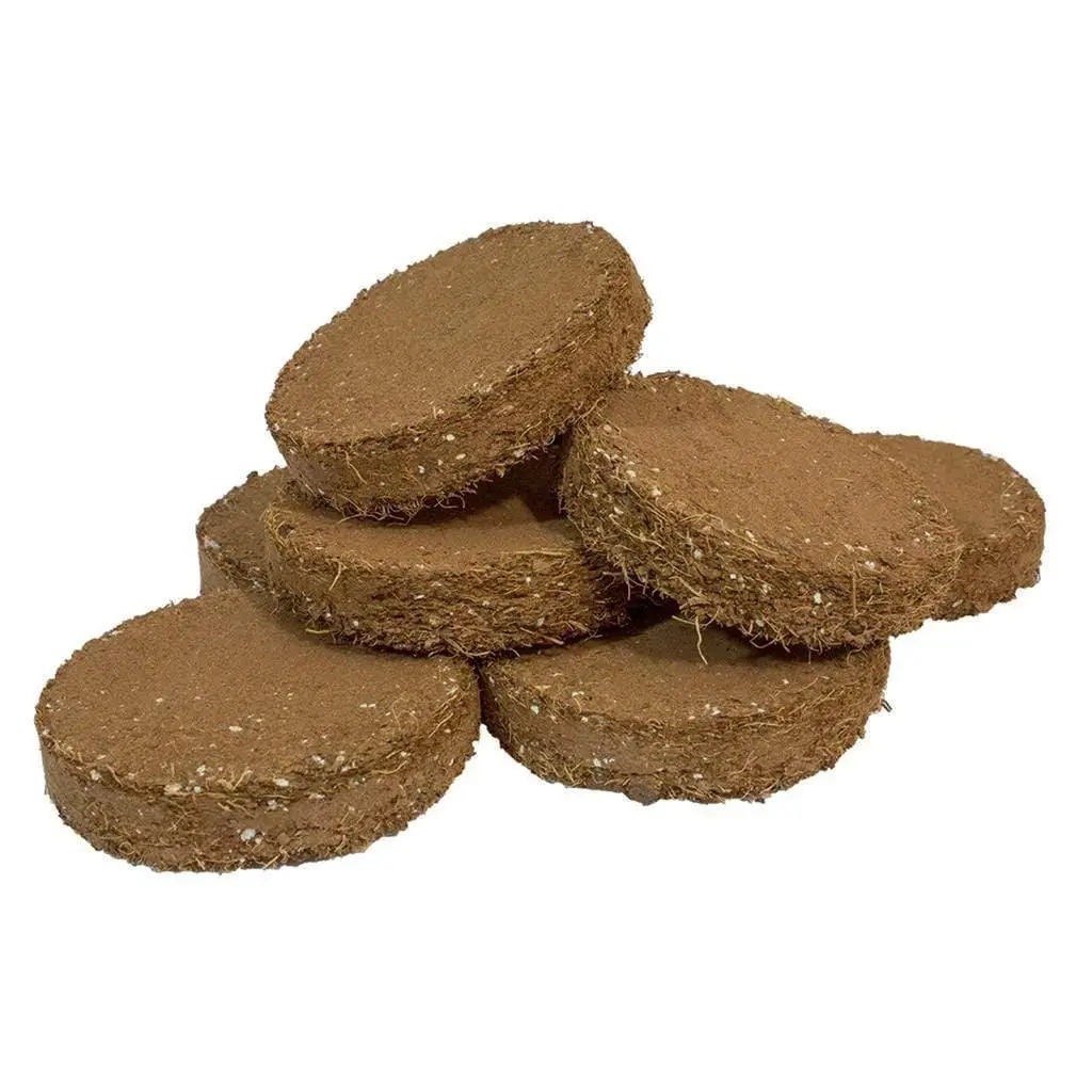 Root!T Potting Biscuit - Pack Of 20 1