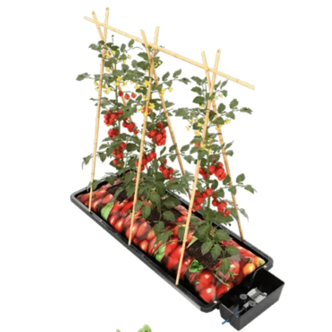 Autopot Tray2grow Automated Watering System 1