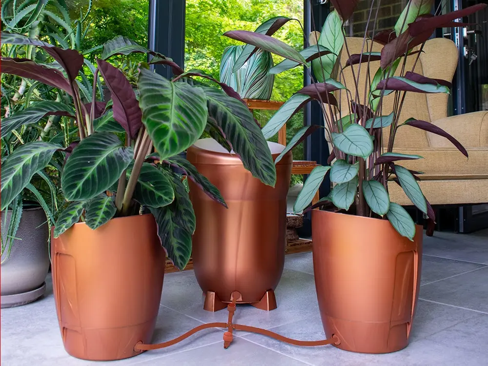Khloris Automatic Watering System | Power-Free Indoor Irrigation 1