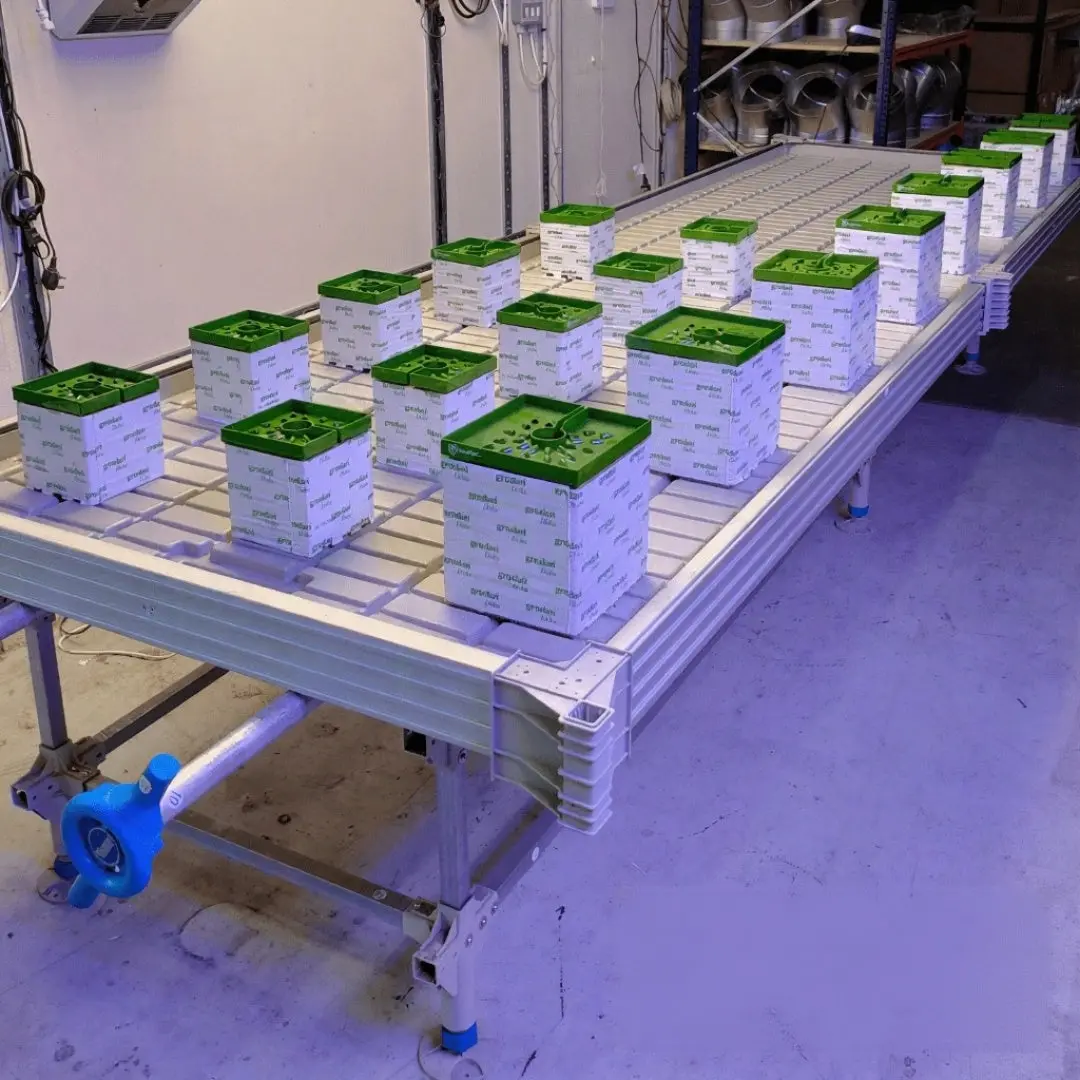 Wachsen 4Ft Rolling Benches With Trays 1