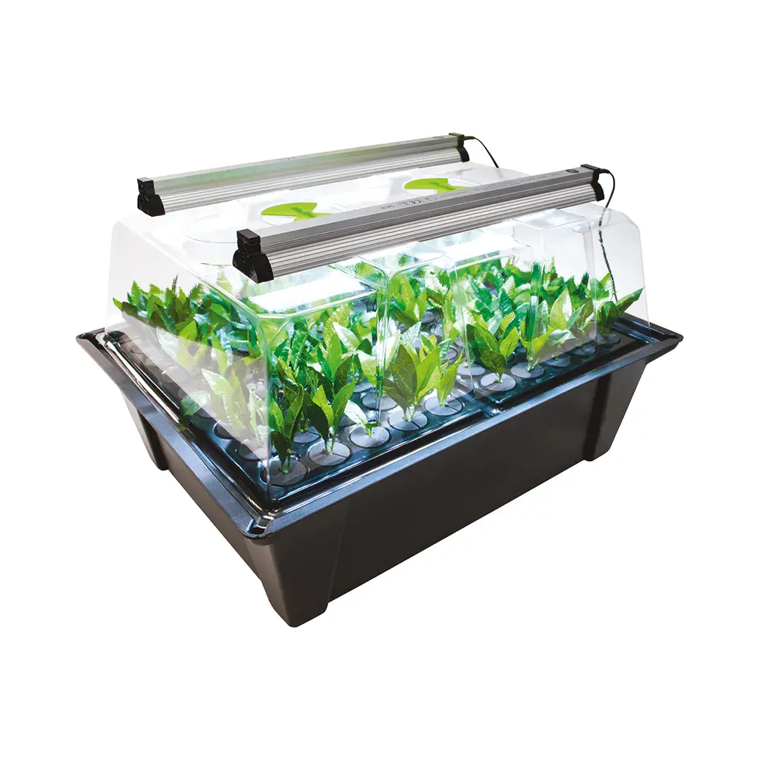X-Stream Aeroponic Propagator + Sunblaster Led Kit 1