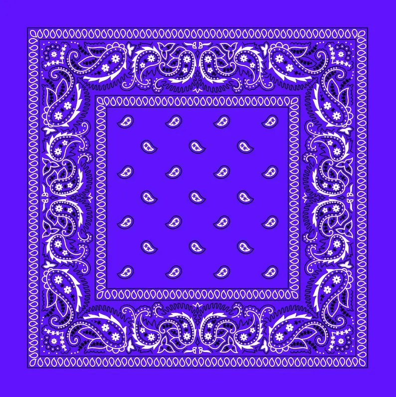 Purple Paisley Bandana 1