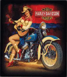 H-D Playin Around Babe Sign 1