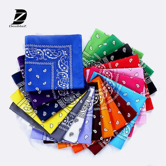Standard Paisley Bandana 1