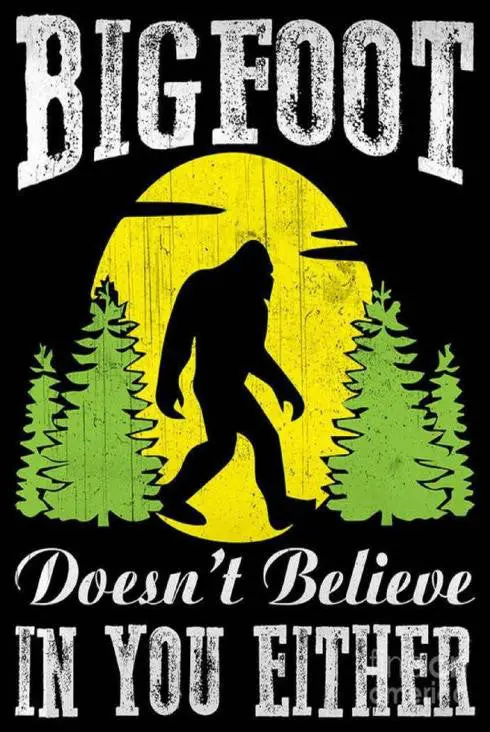 Tin - Bigfoot Doesn't Believe In You 1