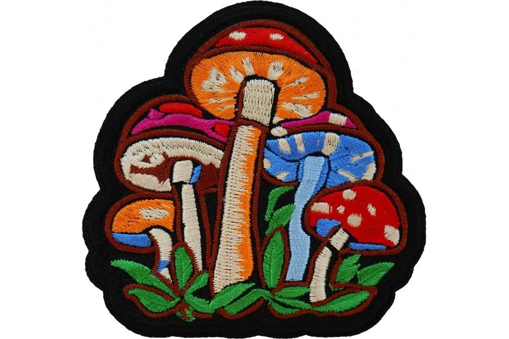 Magic Mushrooms Patch 1