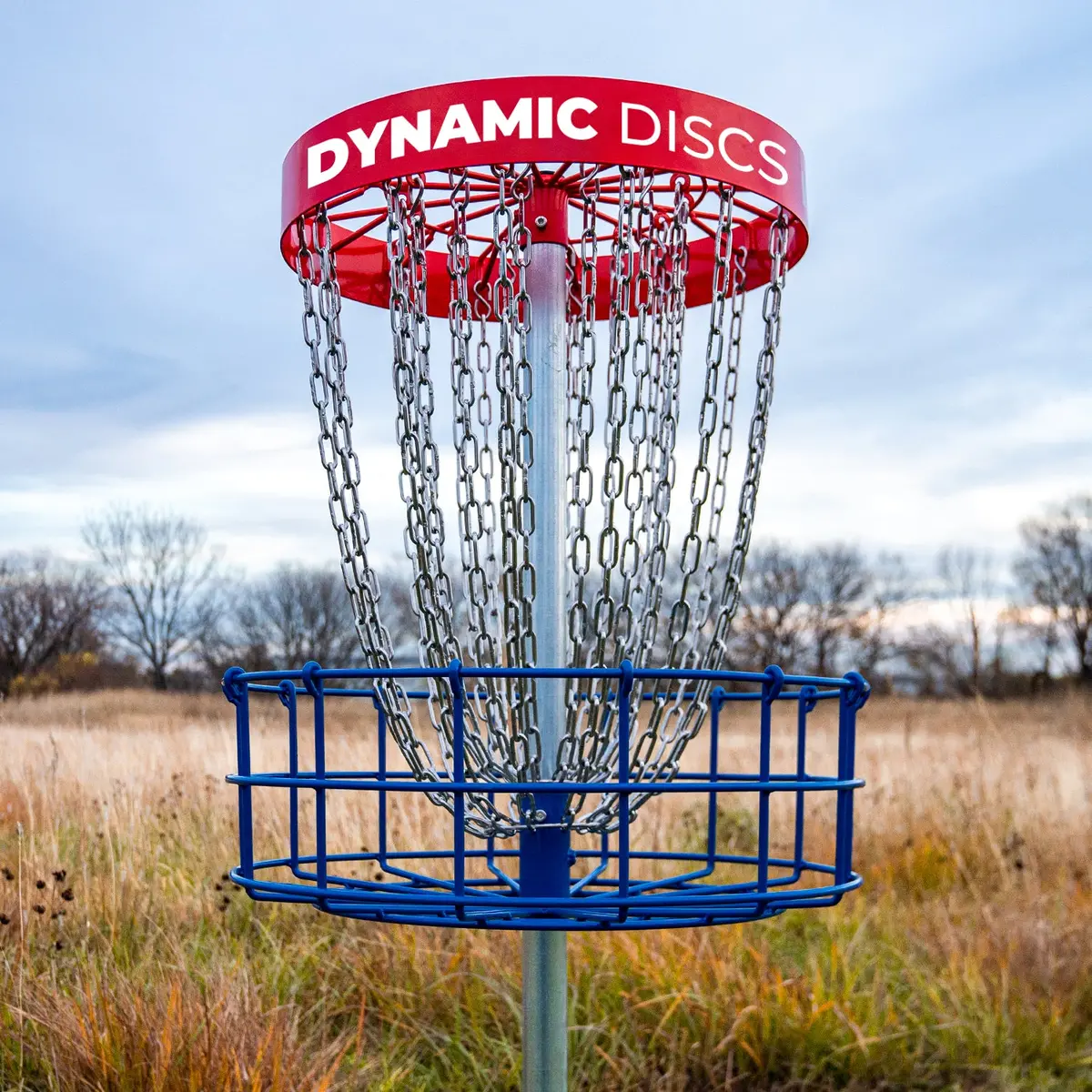 Veteran Disc Golf Basket 1