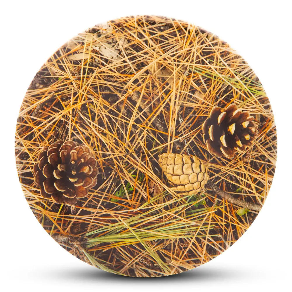 Dye-Abolical Series Dyemax - Pine Straw 1