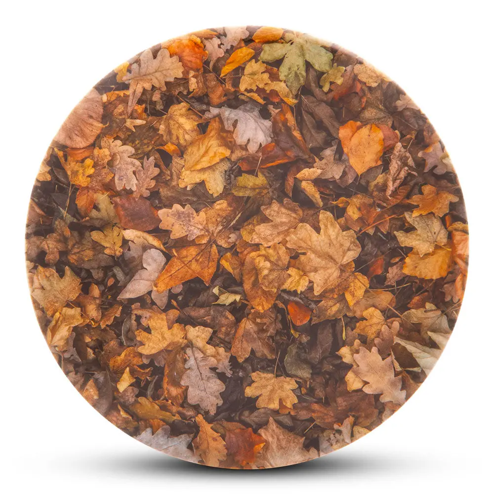 Dye-Abolical Series Dyemax - Wet Leaves 1