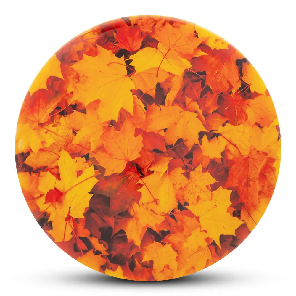 Dye-Abolical Series Dyemax - Autumn Leaves 1