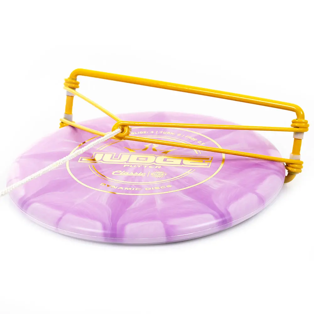 Golden Retriever Disc Retriever 1