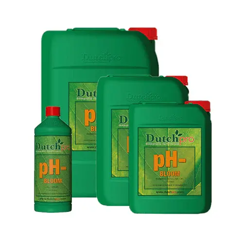 Dutch Pro Ph Down Bloom 1