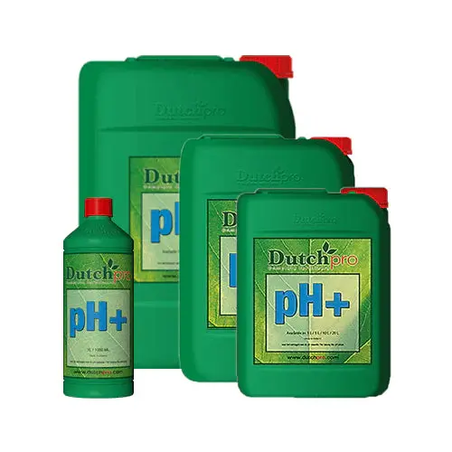 Dutch Pro Ph Up 1