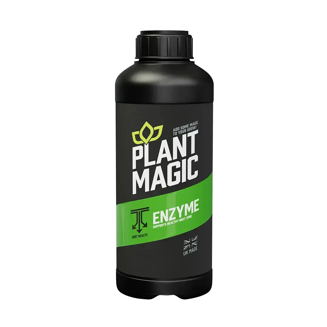 Plant Magic Enzyme 1