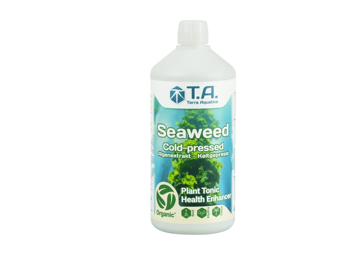 Terra Aquatica Seaweed 2