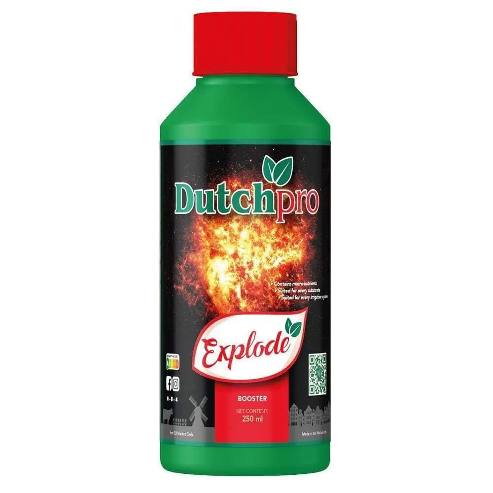 Dutch Pro Explode 1