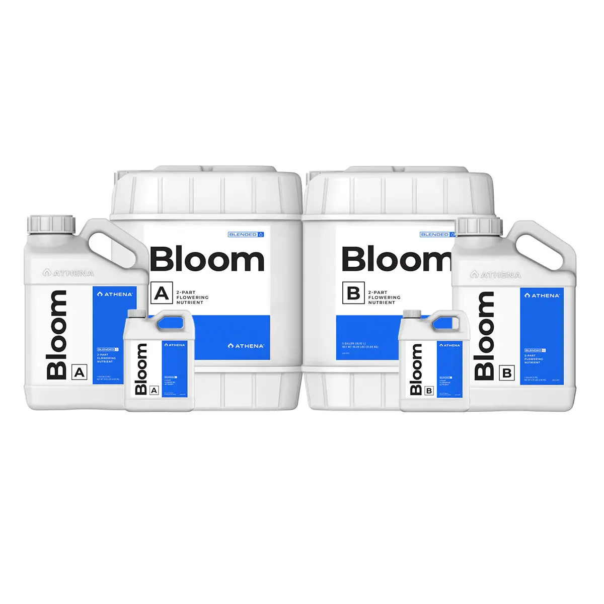 Athena Blended Bloom Ab 1