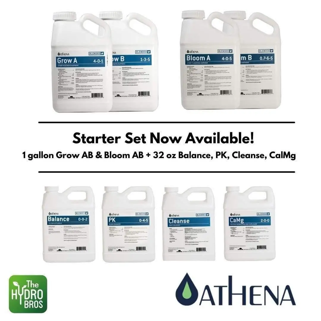 Athena Blended Starter Kit 1