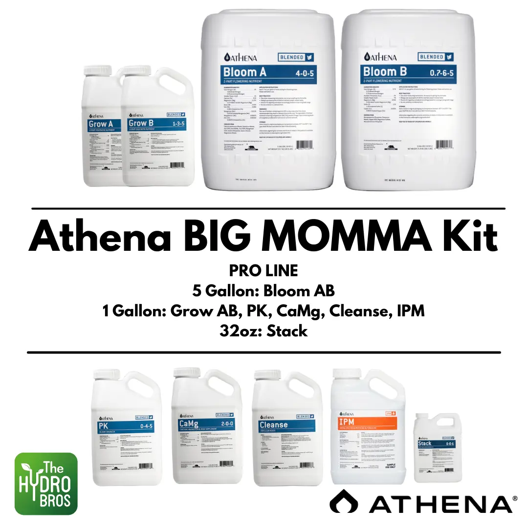 Athena Blended Line - The Full Tilt Big Momma Kit 1